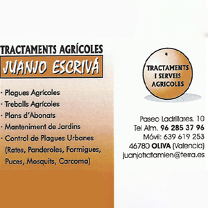 juanjo